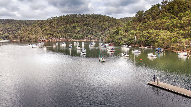 Scenic hiking trail through Australian nature